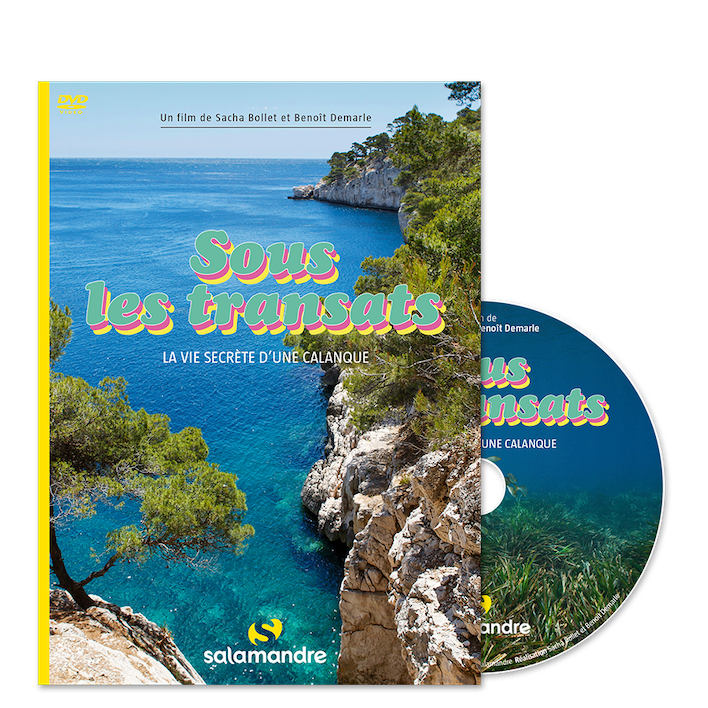 Sous les transats, la vie secrète d’une calanque