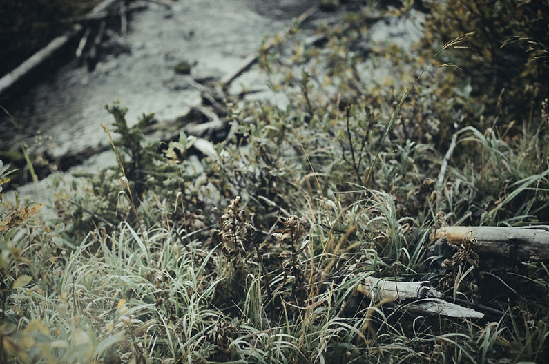D129A4E0-3431-432B-9492-9FFAF0184F02_1_201_a.jpeg
