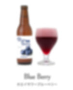 ホエイサワーエールブルーベリー SOLD OUT