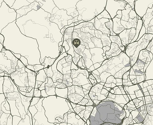 mapa high quality_edited.jpg