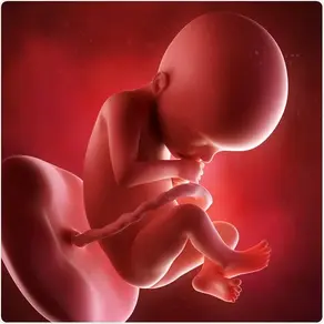 The Silent Grief: Coping with Miscarriage and the Loss of a Child
