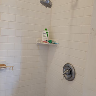Dairy Lane Shower Remodel