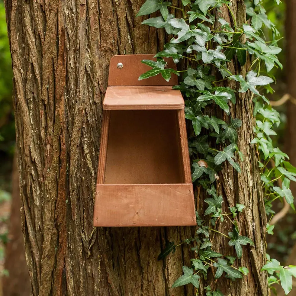 Thumbnail: Robin Nest Box