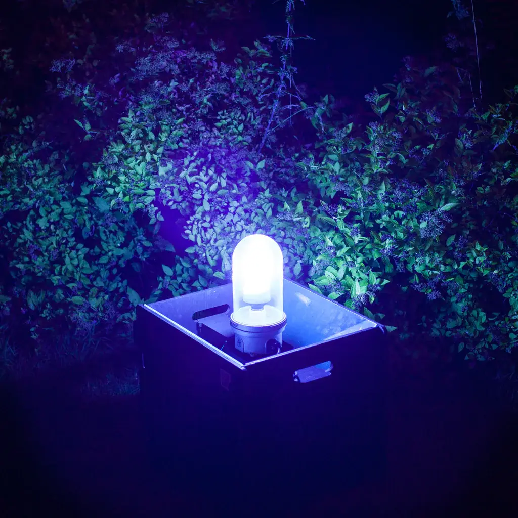 Moth Trap - Actinic