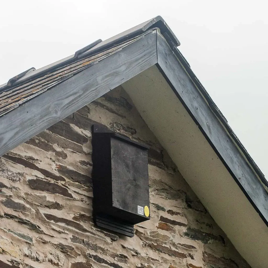 Roost Maternity Bat Box
