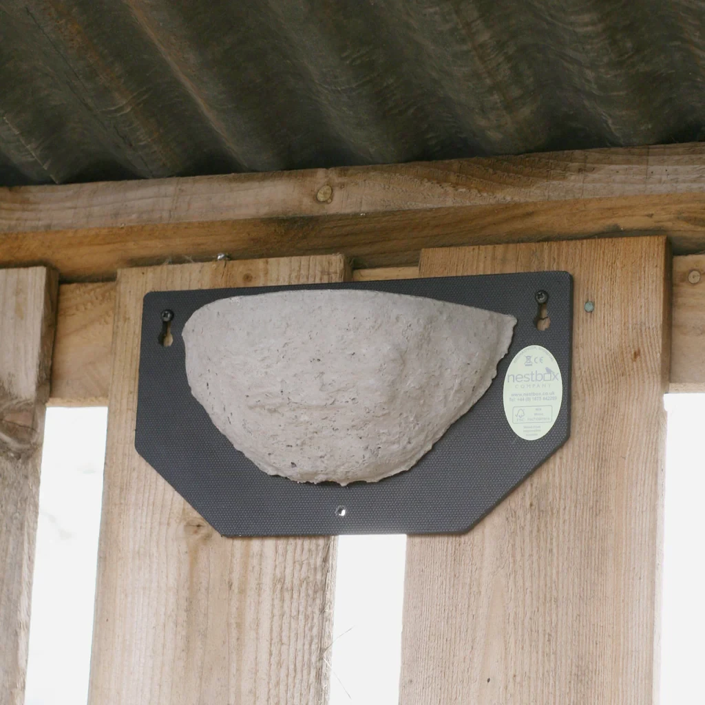 Eco Swallow Nest Box