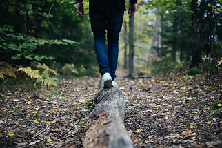 Man walking on log in forest