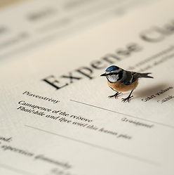 expense claims with blue bird (1).jpg