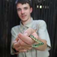 Green spotted Bush
Tian Oostehuizen
Snake
SnakeCity
Edenvale
Entertainment
Family outing
Things to do
Reptiles
Party
School Show
Snake Handling
Snake Training