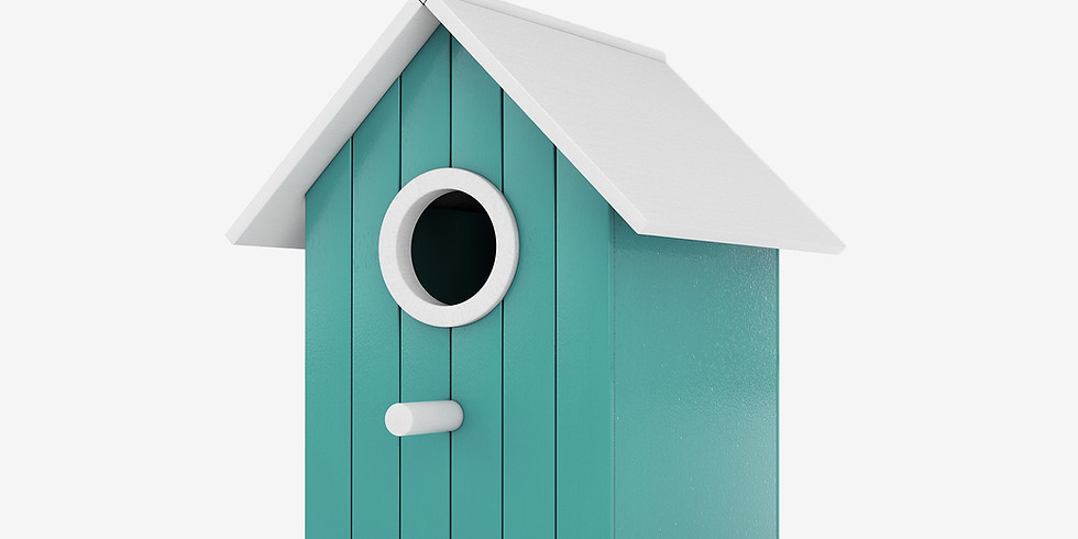 Painting Birdhouses together on Zoom