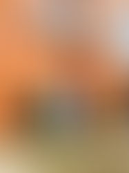 BERKSHIRE HATHAWAY HOMESERVICES ARE TACKLING THE REAL DILEMMAS OF CHICAGO