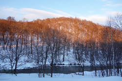 すぐ近くの嵐山（京都の嵐山に似ているらしい）