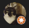 A T Profile Image