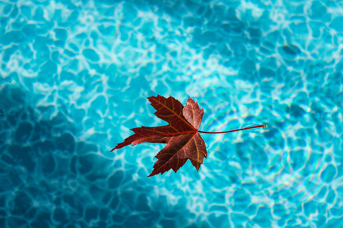 AdobeStock_410542009.jpeg