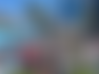 The 87 per cent boom that epitomises AO's remarkable four-decade transformation 