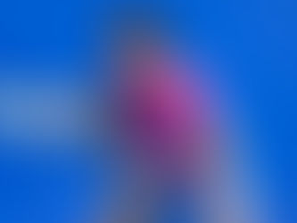 FONSECA CONTINUES TO SHINE IN CANBERRA