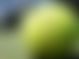 BRIGHTON SPORTS AND THE FIRST SERVE COME TOGETHER FOR 2025