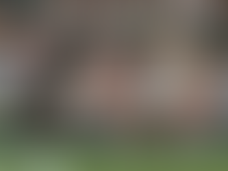 VETERAN LEFT SEETHING OVER LINE CALL HOWLER; WIMBLEDON ISSUE APOLOGY