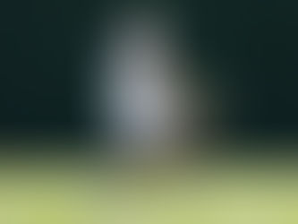 WIMBLEDON DAY 2: AUSSIES LOOK TO IMPROVE RESULTS AS DE MINAUR LEADS CHARGE