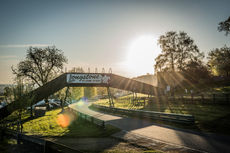 EarlyMorningPics (5).jpg