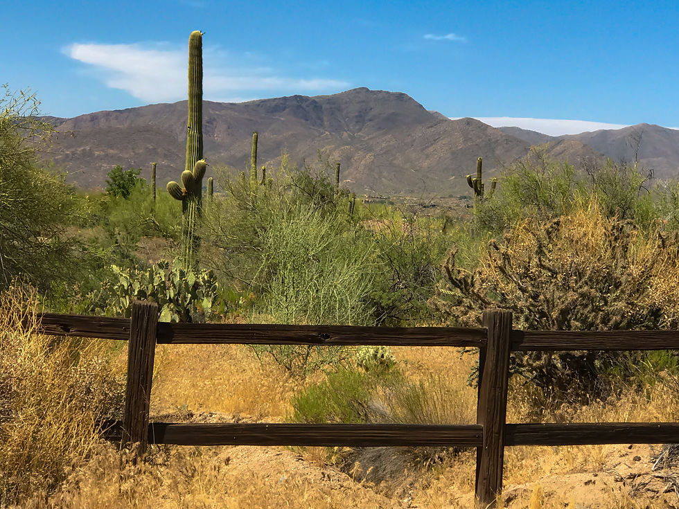 Carefree Foothills