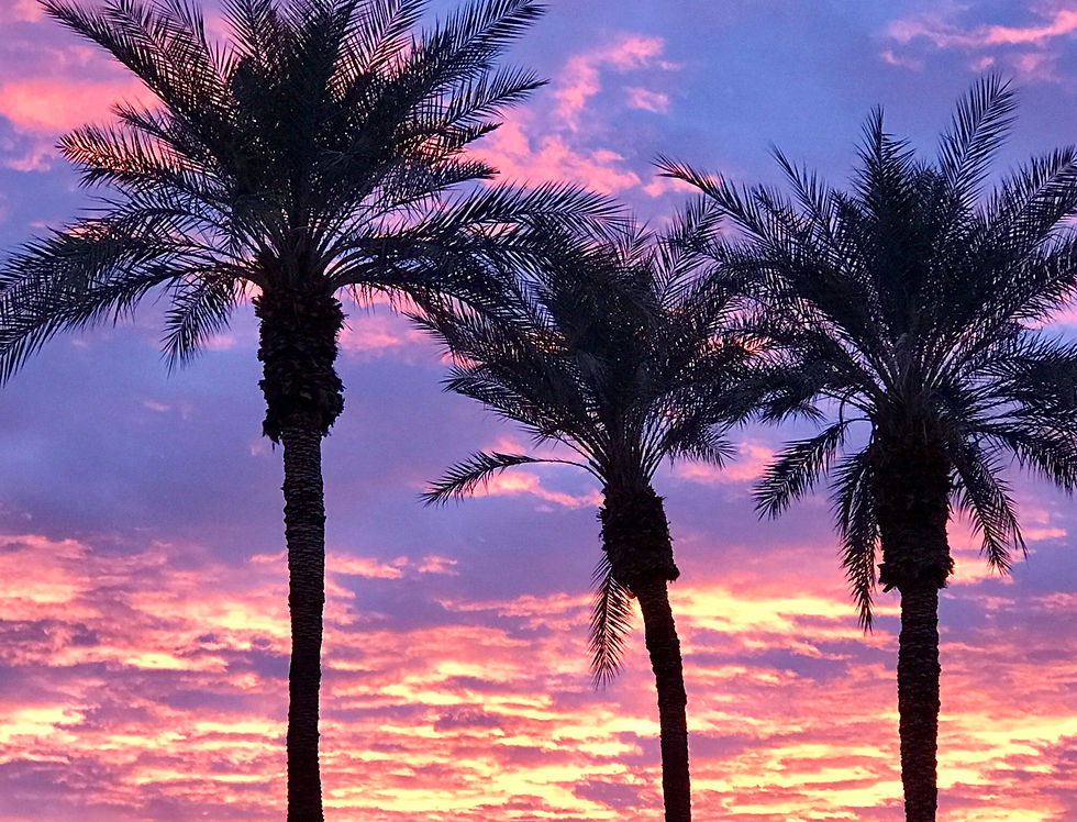 Arizona Tropicana