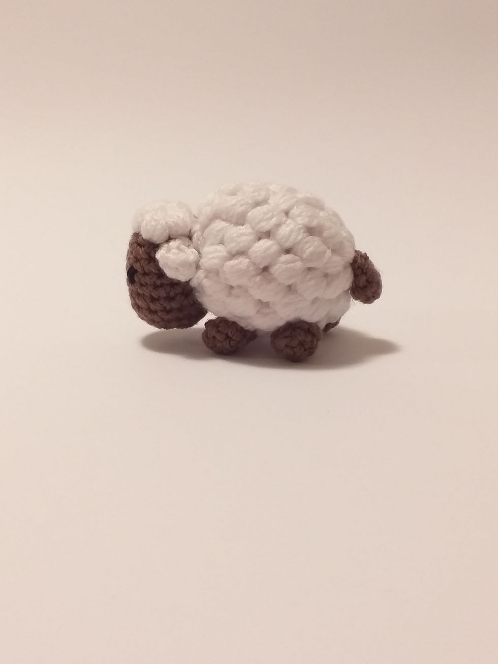 Miniatura: Ovejas / Borrego