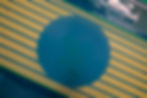 ree
