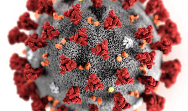 coronavirus-ilustracao.jpeg
