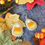 Thumbnail: Candy corn Earrings