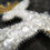 Thumbnail: Winter Deer