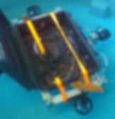 Proteus BETA