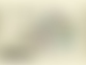 historic map puzzles