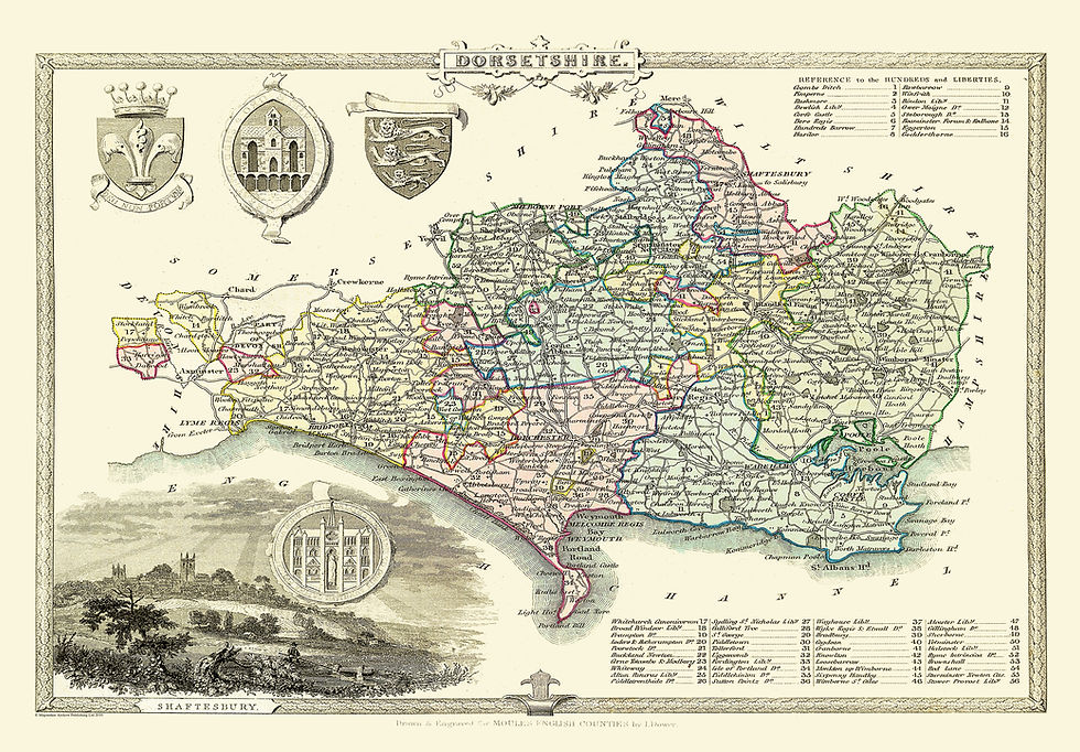  Dorsetshire by Thomas Moule