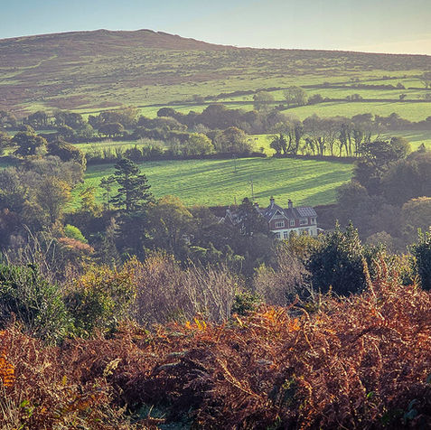 Scenic landscape view with green fields, trees, and a mountain in the distance.