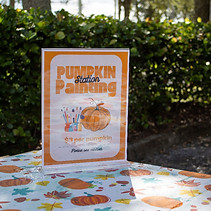 Pie pumpkins for baking or painting