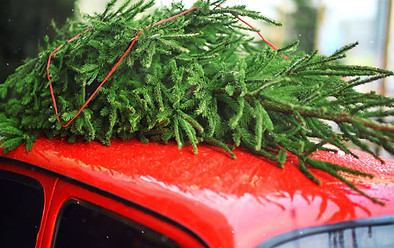 loading-christmas-tree-on-car.jpg