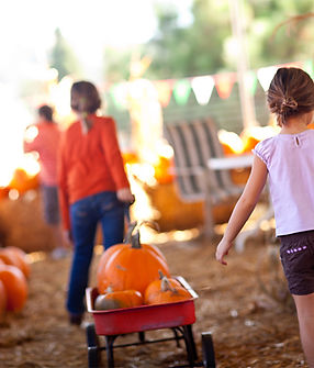 pumpkin patch field trips in south florida