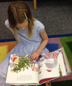 Screenshot 2017-08-06 14.46.25