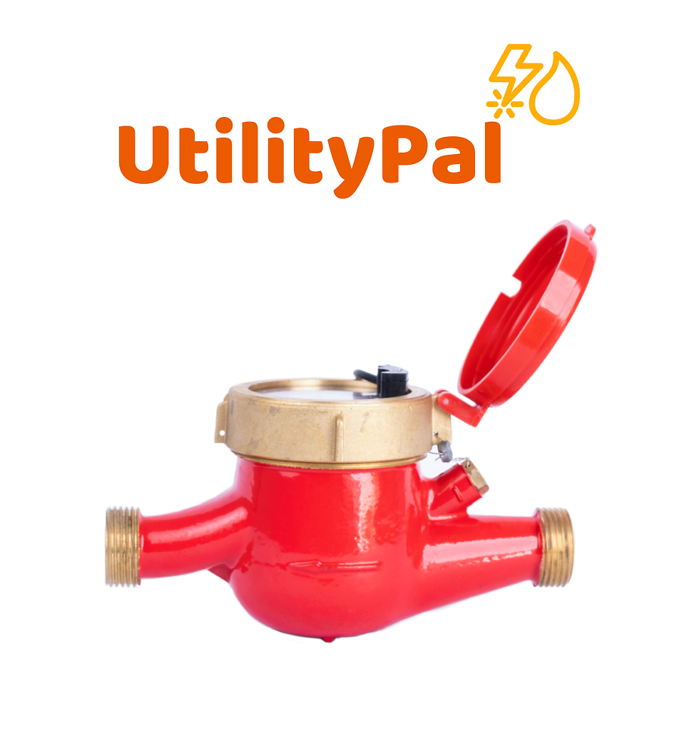 UtilityPal - Brass (Hot) Multijet Water Meter
