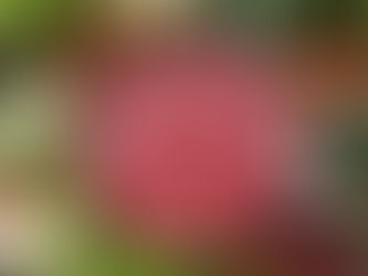 The Skinny on Intermittent Fasting