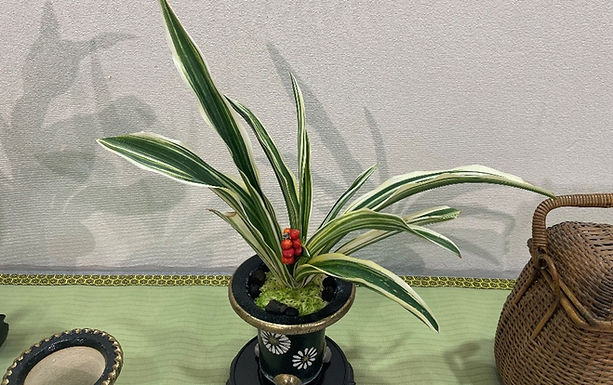 主催:京都府立植物園