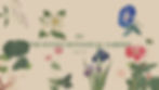 KBG_banner_20260403_E2.jpg