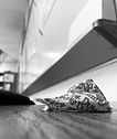 IMG_2591.jpg