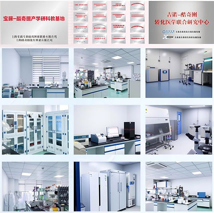 36904bbe-b608-4168-b4d2-18bc3d63(2) (1)(1).jpg