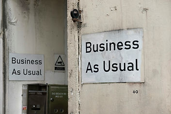 Standard ERP - Business As Usual