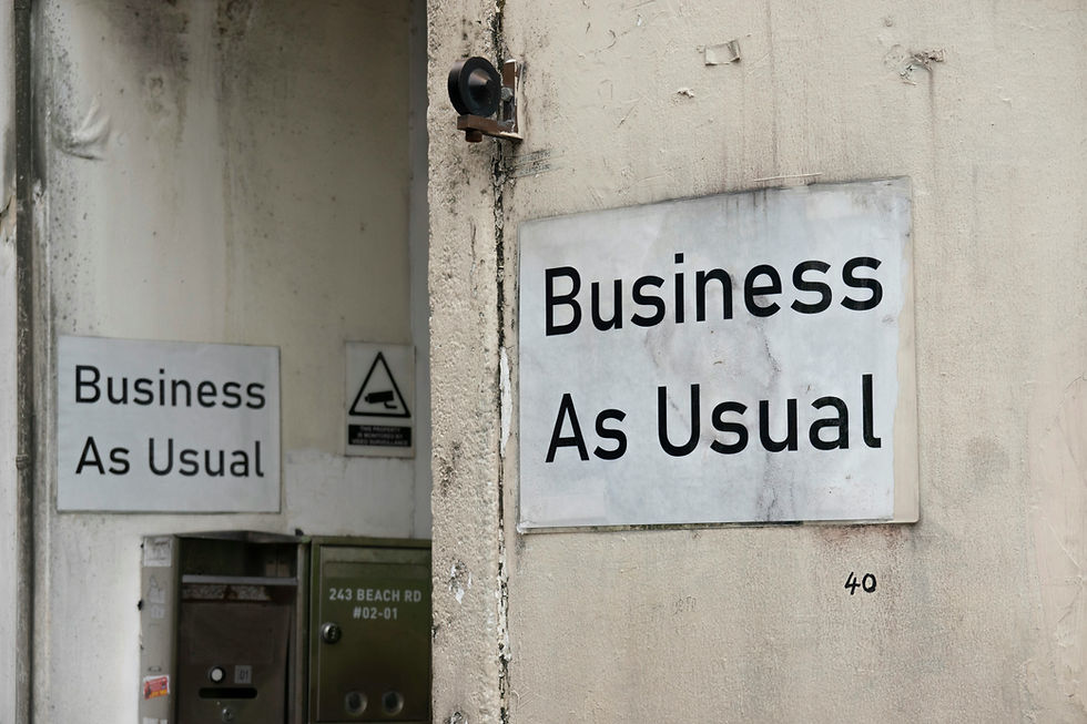 Standard ERP - Business As Usual