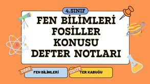 4. Sınıf Fen Bilimleri Fosiller Konusu Defter Notu (El Yazısı & Görselli)