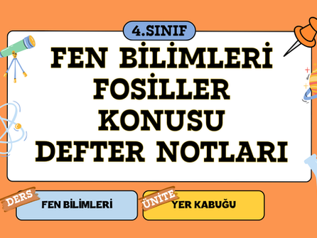 4. Sınıf Fen Bilimleri Fosiller Konusu Defter Notu (El Yazısı & Görselli) 