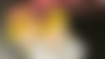 Yaka Kart ( Zürafa ) | 1. Sınıf